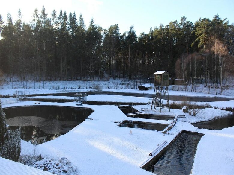 Hostal Pension & Gasthaus Kattenstieg