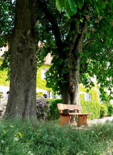 Golf- Und Landhotel Rheinhessen