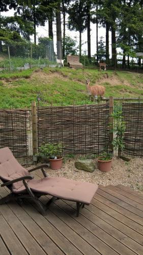 Agroturismo Funny-farm