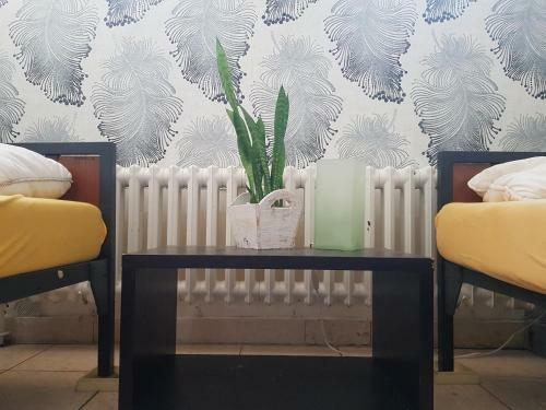 Albergue Penthouse Backpackers