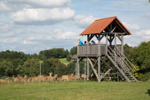 Apartamento Scheidlerhof