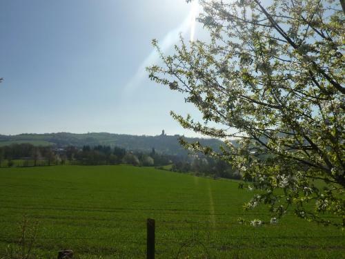 Tiptop Hotel Burgblick