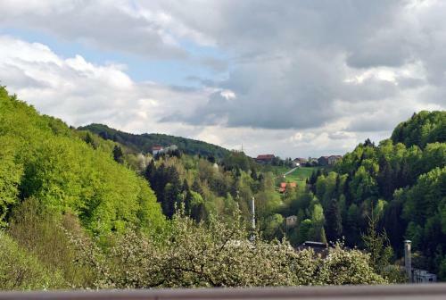 Apartamento Fewo Radi An Der Buchberger Leite