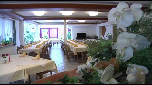 Hotel Gasthof Traube