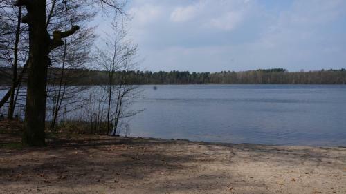 Posada "m�rkische Traube" Idyllisches G�stehaus Garni