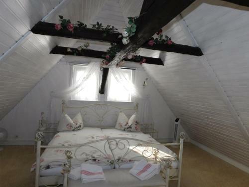 Hostal Elbe Radstation