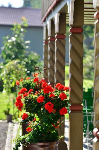 Hostal Caf� Im Hof