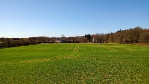 Fjelsted Skov Hotel & Konference