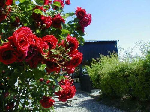 Apartamento Vejskr�kg�rden