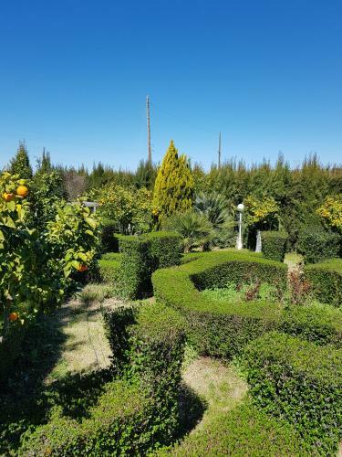 Agroturismo Casa Rural El Limonar
