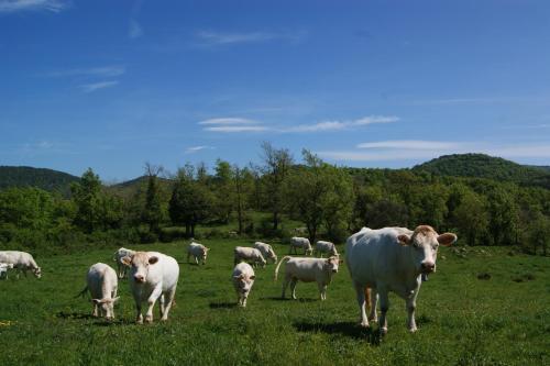 Albergue Can Vilalta
