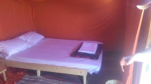 Bivouac Tamgroute