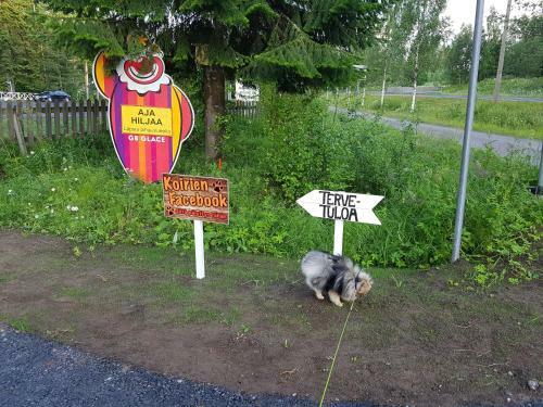 Mansikkaharju Holiday Camp