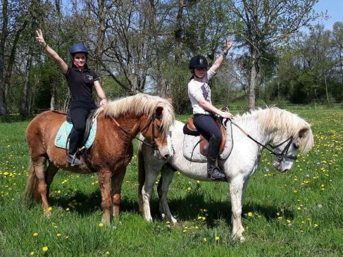 Apartamento Les Gites Haras Del Paradiso