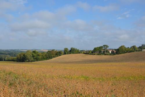 Bed & Breakfast Le Pigeonnier De Larrouquet