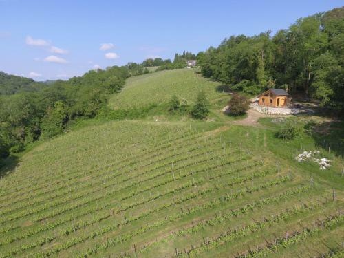 Lodge Cabane Vigneronne