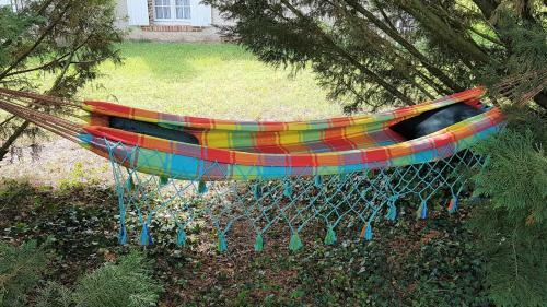 Tourterelle, � Proximit� De Auxerre Et Chablis