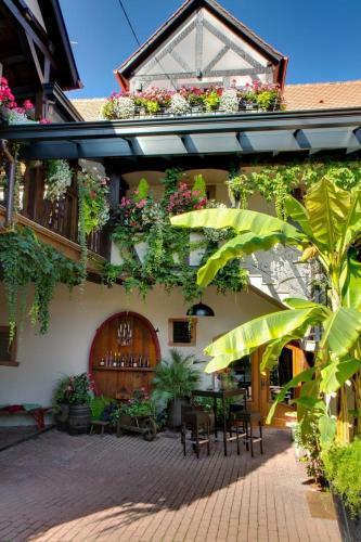 Apartamentos G�te Fleur De Vignes