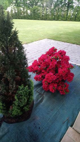 Bed & Breakfast Le Petit Etang
