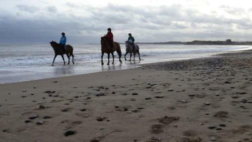 Hostal Harbour House B&B & Self-catering