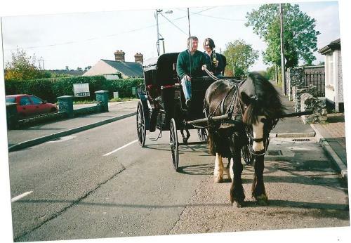 Hostal Dalys Inn