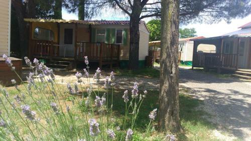 Camping L'olivier