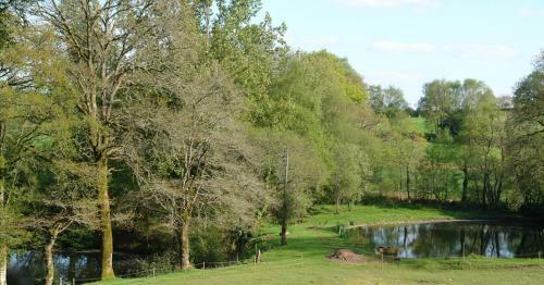 Bed & Breakfast Les Etangs De Piti�