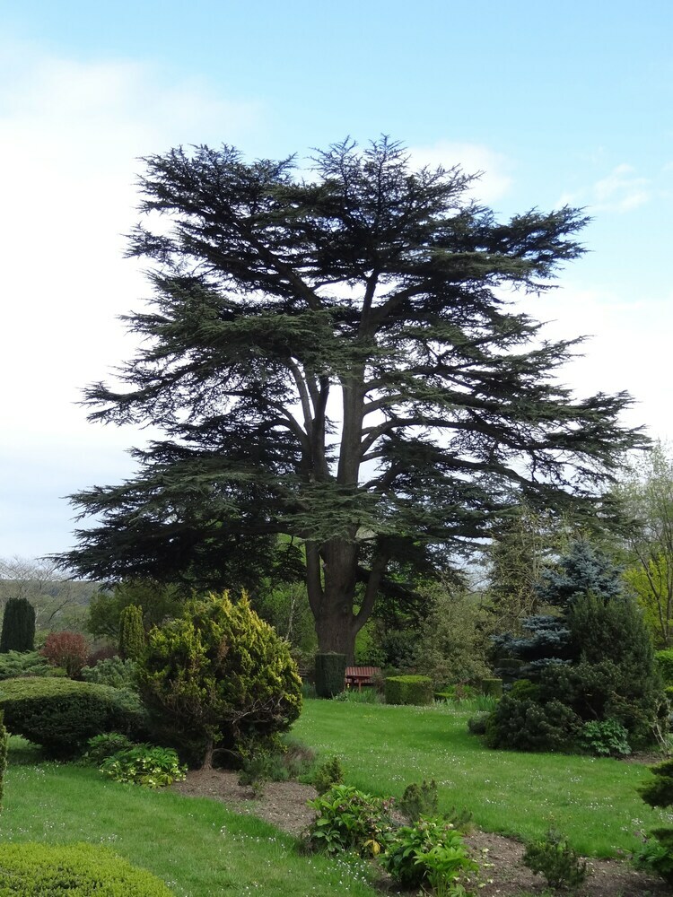 Bed & Breakfast Le Prieure D'orchaise