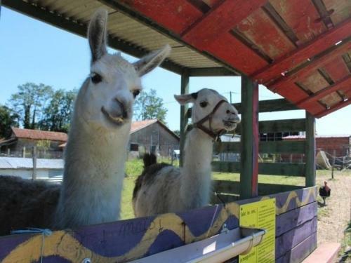 House Le G�te De La Petite Ferme