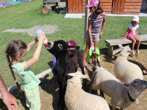 House Le G�te De La Petite Ferme