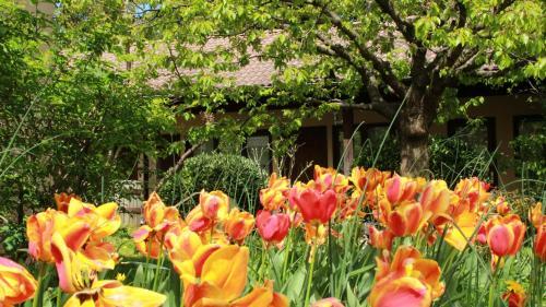 Hotel La Ferme De Thoudiere