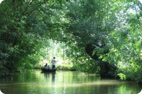 Agroturismo Le Cochon Vole