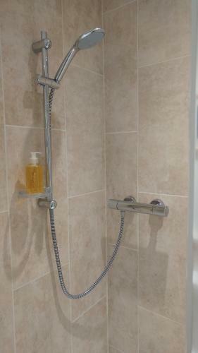 Hostal Swan Studios