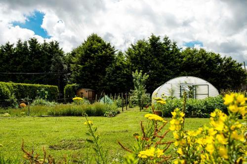 Bed & Breakfast Peartree Hill