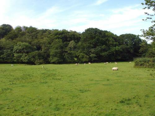 Acorn Cottage, Meavy, Yelverton
