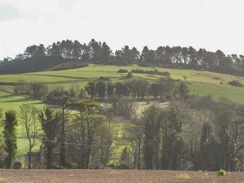 Whitey Top Lodge