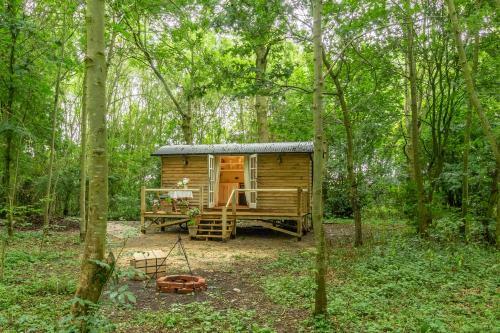 Woodland Retreat Shepherd's Hut
