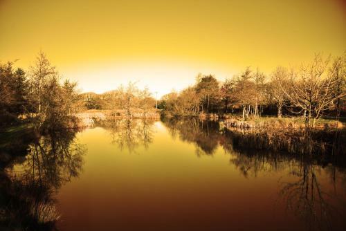 Thornbury Holiday Park