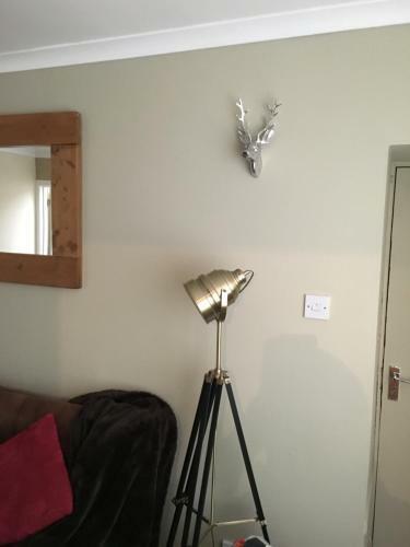 Apartamento 123v Tillicoultry Holiday Let