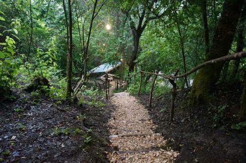 Glamping Georgia Krikhi