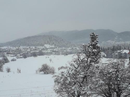 Apartment Near Didveli