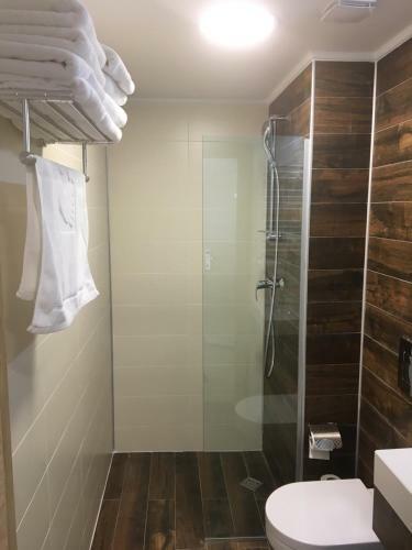 Orbi Bakuriani Apartment