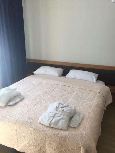 Orbi Bakuriani Apartment