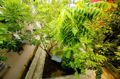 Bed & Breakfast Hotel Gori