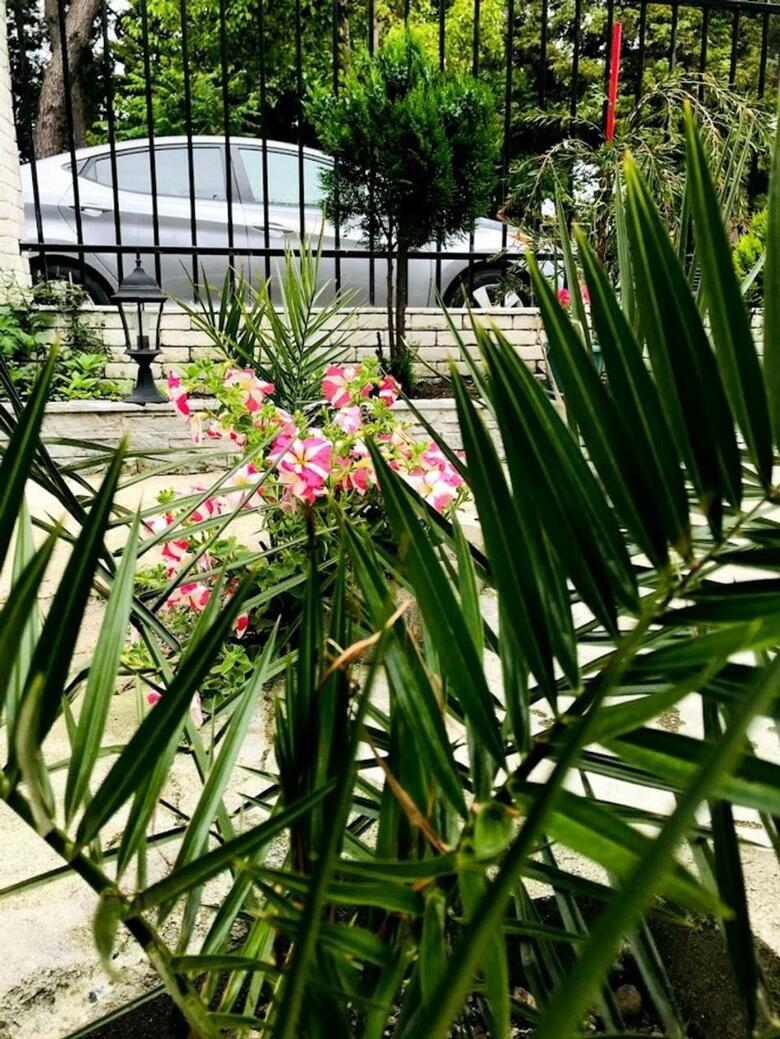 Albergue Hotel 24