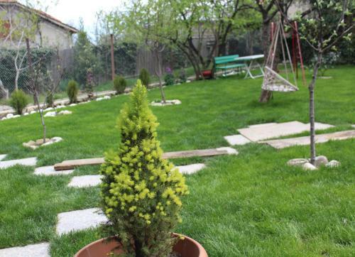 Hostal Guest House Poligloti
