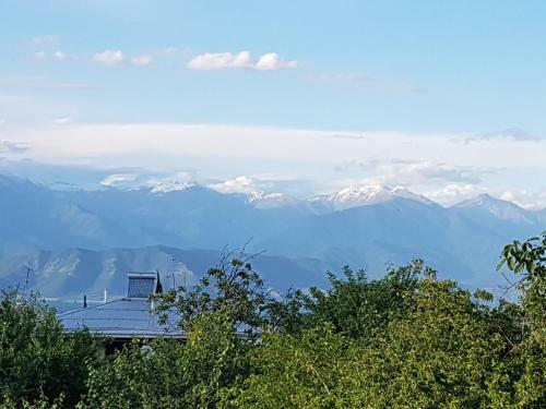 Hostal Rustaveli Guesthouse