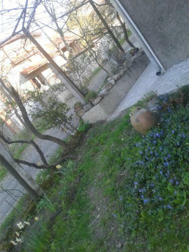 Gest House Laghidze