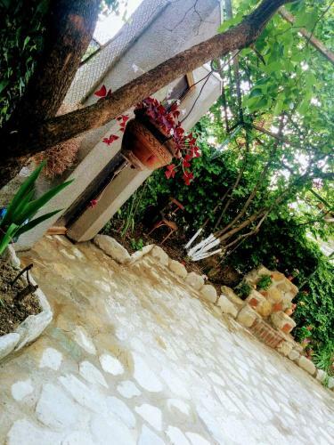 Hostal Guest House Family
