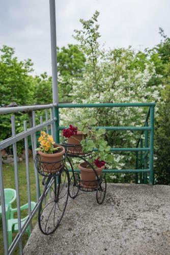 Apartamento Zandukeli Inn